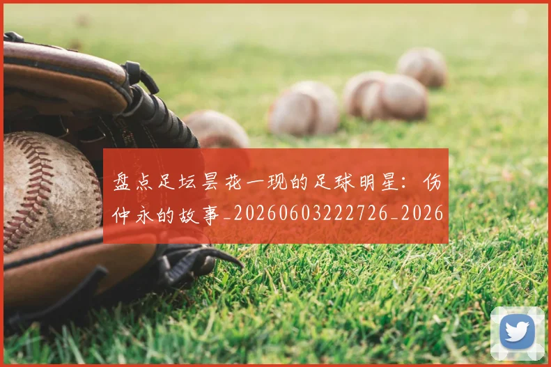 盘点足坛昙花一现的足球明星：伤仲永的故事_20260603222726_20260710003715